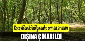 Kocaelide iki bolge daha orman sinirlari disina cikarildi