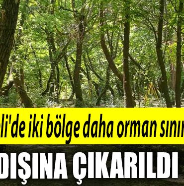 Kocaelide iki bolge daha orman sinirlari disina cikarildi