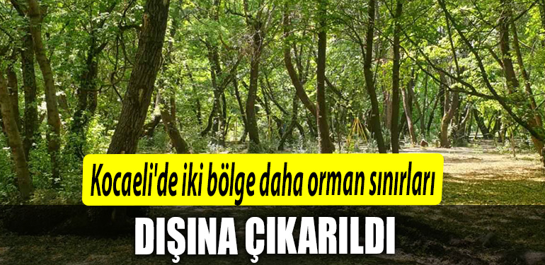 Kocaelide iki bolge daha orman sinirlari disina cikarildi