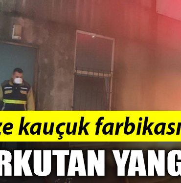 YANGIN 1