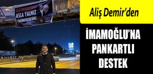 alis demir