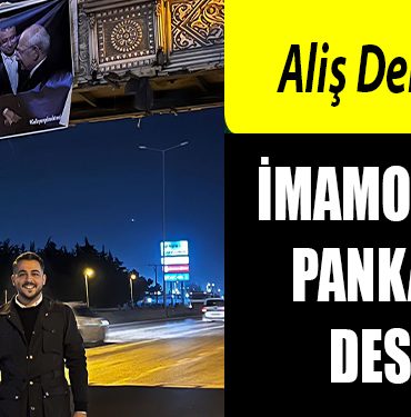 alis demir