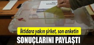 anket 5