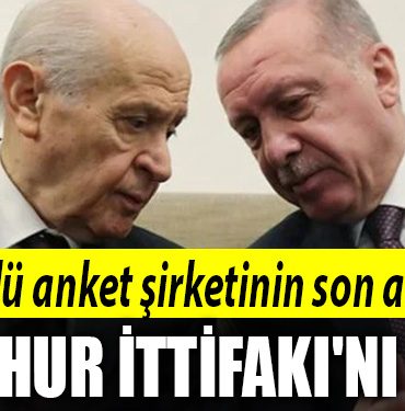 anket erdogan