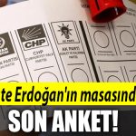 anket kocaeli