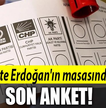 anket kocaeli