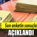 anket sonuclari
