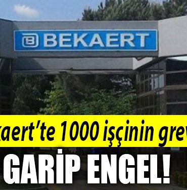 bekaert grev