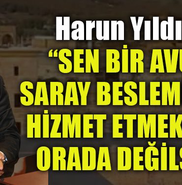 chp kocaeli 1
