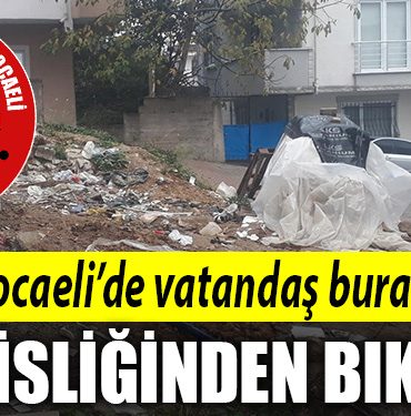 darica