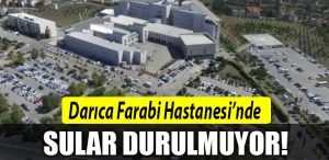darica farabi