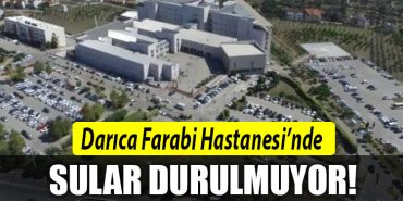 darica farabi