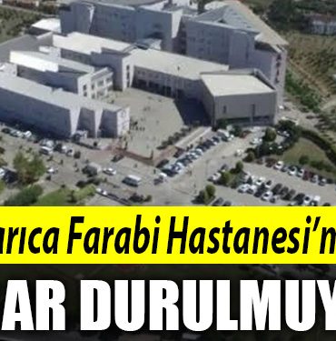 darica farabi