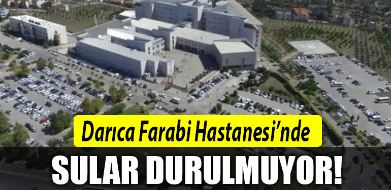 darica farabi