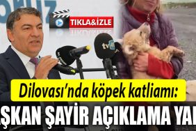 dilovasi