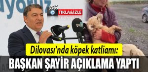 dilovasi