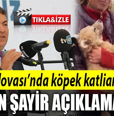 dilovasi