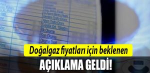 dogalgaz tarife aralik