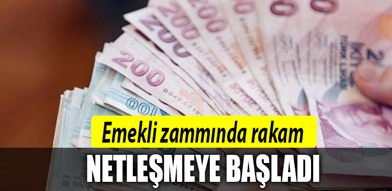 emekli zam