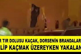 gocmen 2