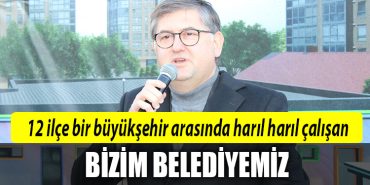 harun yildizli 2