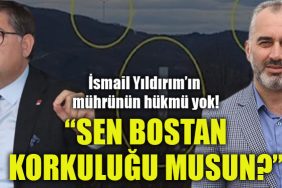 harun yildizli ismail yildirim