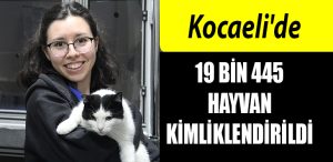 hayvan