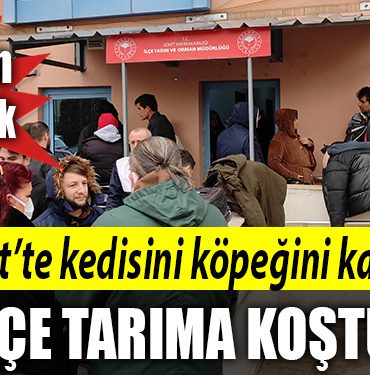 izmit ilce tarim