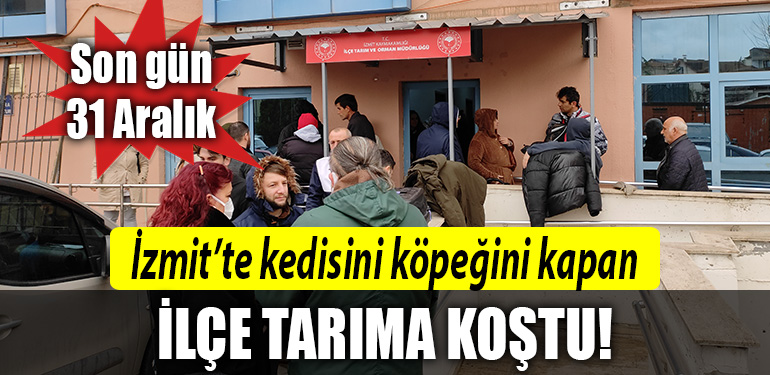 izmit ilce tarim