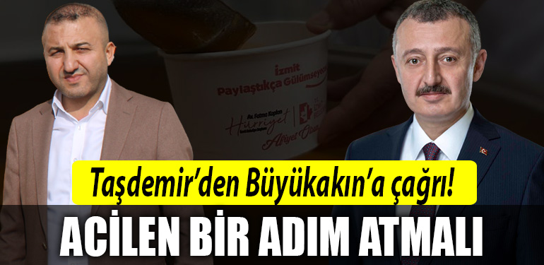 izmit tasdemir