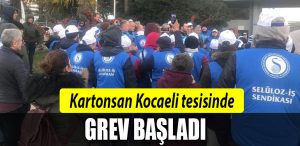 kartonsan izmit