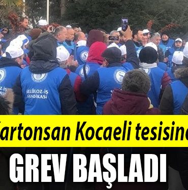 kartonsan izmit
