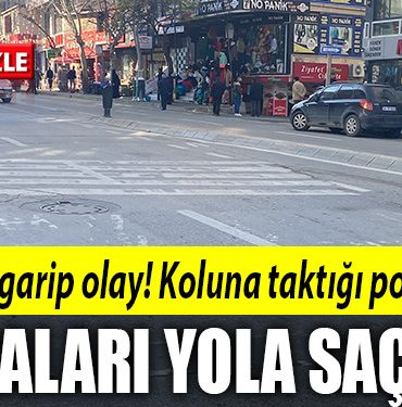 kocaeli 6