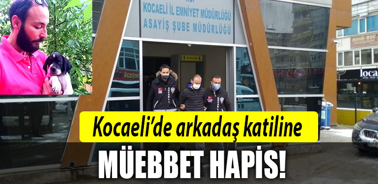 kocaeli arkadas katili