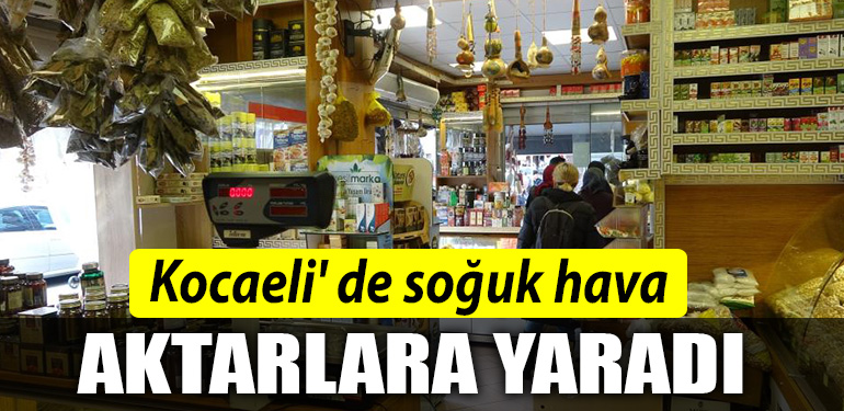 kocaeli de soguk hava aktarlara yaradi
