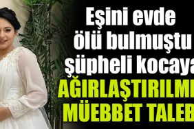 kocaeli esini olu bulmustu