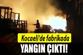 kocaeli fabrika