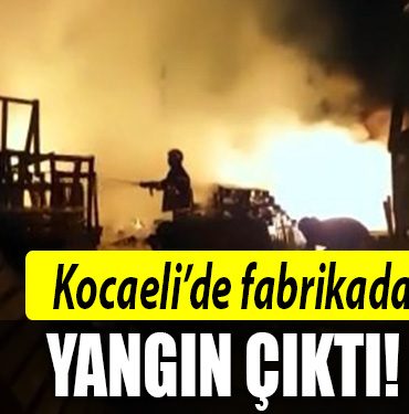 kocaeli fabrika