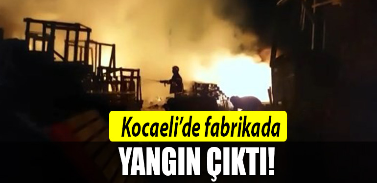 kocaeli fabrika