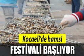 kocaeli hamsi festivali