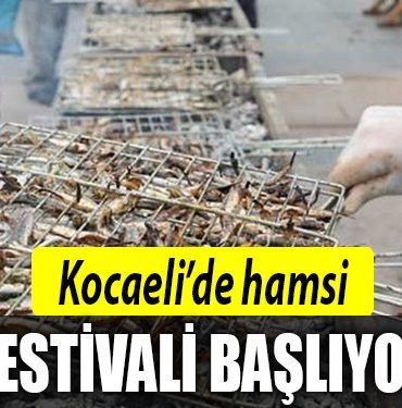 kocaeli hamsi festivali
