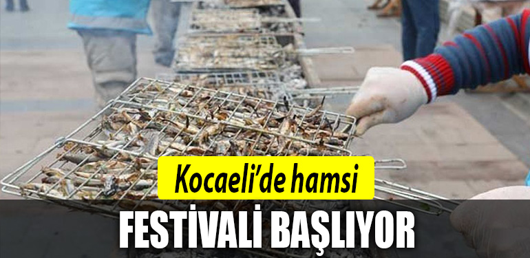 kocaeli hamsi festivali