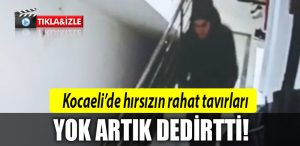 kocaeli hirsizi