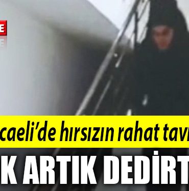kocaeli hirsizi