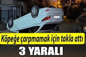 kocaeli kopege carpmamak icin takla atti
