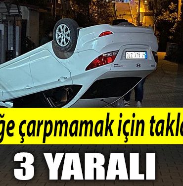 kocaeli kopege carpmamak icin takla atti