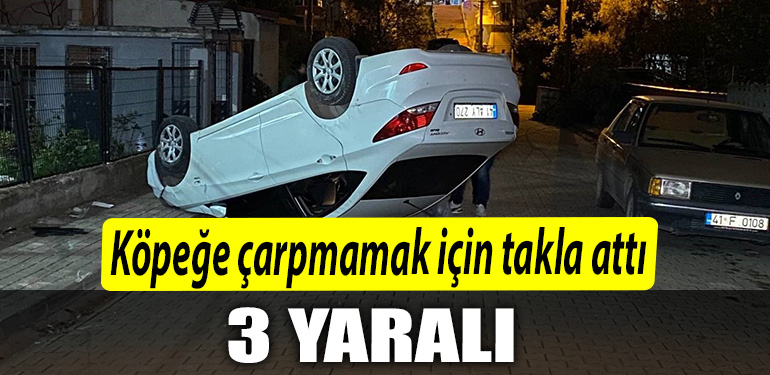 kocaeli kopege carpmamak icin takla atti