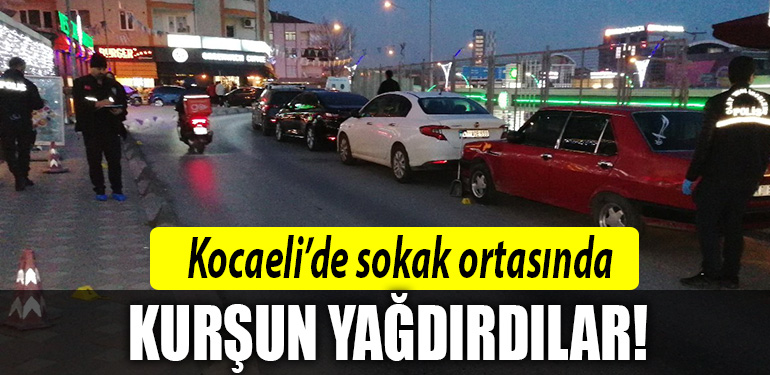 kocaeli kursun