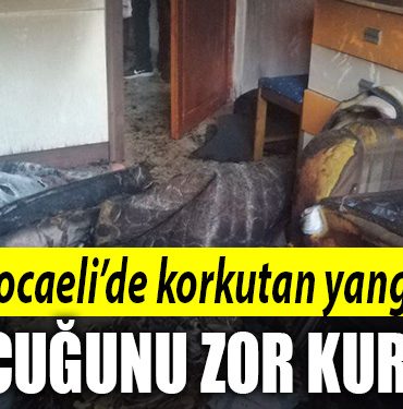 kocaeli yangin