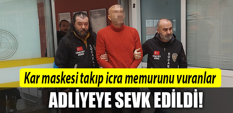 kocaelii